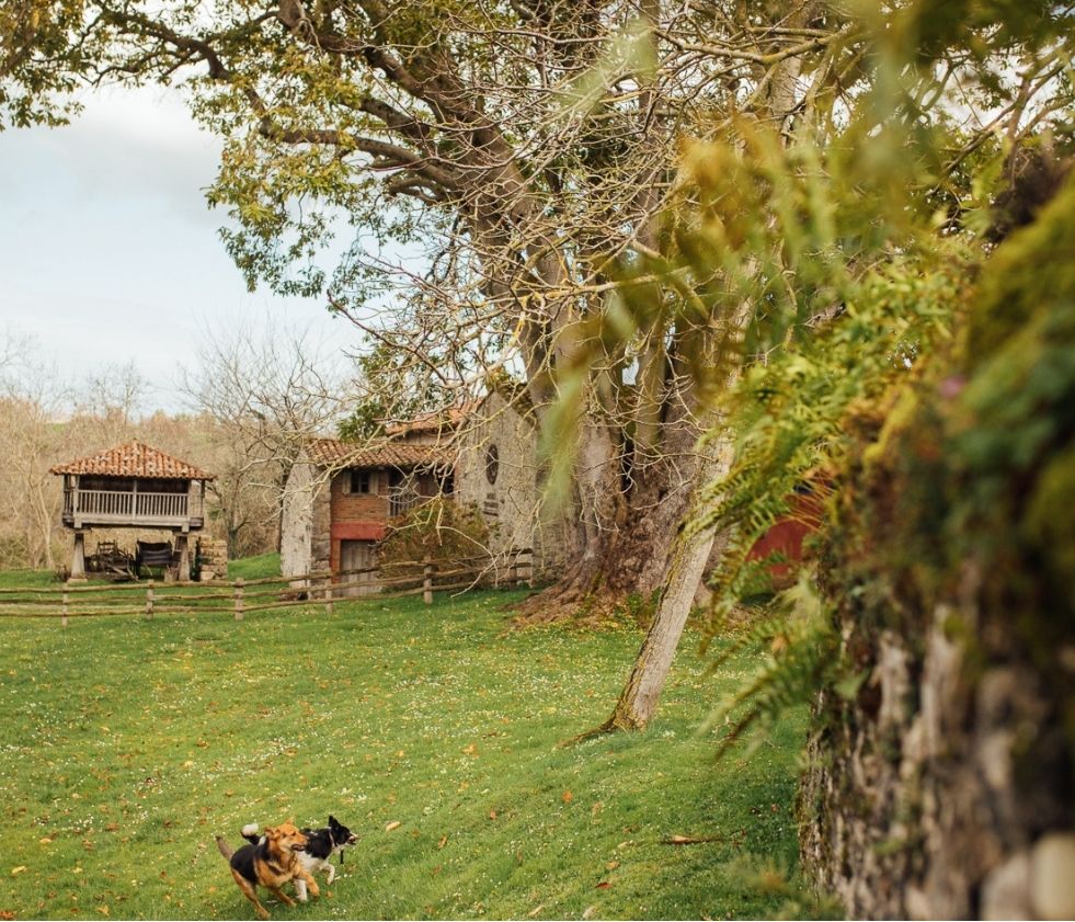 turismo rural en Llanes